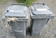 Mülltonnen - Archivfoto: Sylvia Frevert