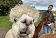 img_9216 - Nicole Sielermann