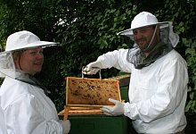 imker04 - Sylvia Frevert(LZ)