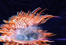 468f6fb9-8e45-4912-a5a0-c2f0f79309df - 1 - Duoni Liu