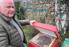 die-bienen-warmen-sich-im-winter-im-bienenstock - Raffael Giebel