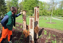 Friedhof Bega - Nadine Uphoff