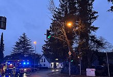 img_7473 - 1 - 1 - C.Rieks