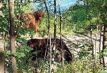 20230717_090846 - Oliver Wendtland