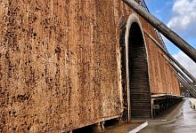 Schwarzdorn - Alexandra Schaller