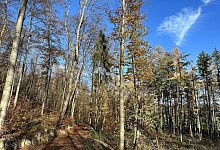 img_0389 - Ralf T. Mischer