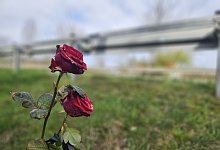 Mordprozess nach Unfalltod in Lügde - Janet König