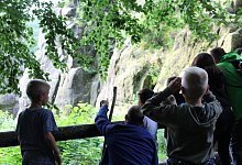 staunend-die-familien-lernen-die-natur-rund-um-die-externsteine-wahrend-der-gluhwurmchen-wanderung-ganz-neu-kennen - Joline Heller