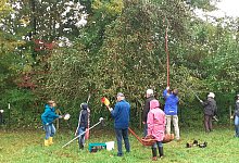 trotz-regen-pflucken-leopoldshoherinnen-und-leopoldshoher-eifrig-apfel-am-heimathof-leopoldshohe - Till Neuhaus