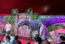 Dino-Show - Sandra Castrup