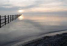 pre-1332-2023-03-03 - 1 - ANDREAS BLANKE