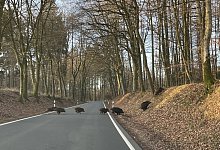 img_6960 - Till Brand