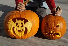 K&uuml;rbis - Pixabay