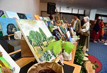 nic_9764 - Nicole Ellerbrake