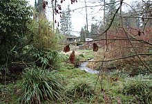 Hillbach - Nadine Uphoff