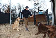 Spaziergang mit Hund - Nico D&uuml;llmann