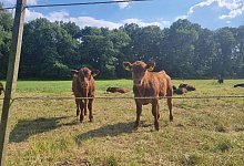 img_7216-1 - Symbolbild: Kirsten Fuhrmann