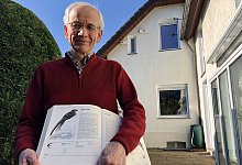 Mauersegler - Sven Kienscherf