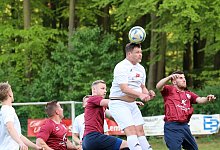 luerdissen-leopoldshoh - paul cohen