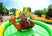 nic_0986b - Nicole Ellerbrake