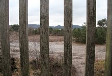 img_4465 - Dieter Asbrock