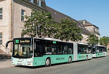 busse-im-rosental - Svd