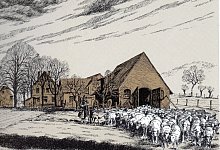 Hof 1 - Repro: Horst Biere