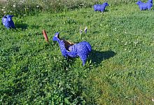 c68a540d-e2f3-4215-8823-9f2c86e6ad8a - LGS F&ouml;rderverein