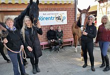 nl_do_reitverein - Sylvia Frevert