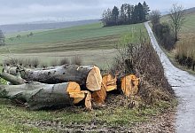 windrad-brakelsiek-sb4 - Silke Buhrmester