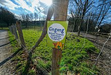 Der Zaun am Tierpark Olderdissen. - Foto: Andreas Zobe/NW
