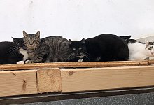 img_5580 - Sven Kienscherf