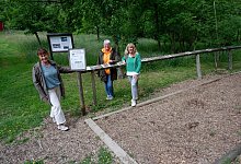 Walderlebnistag Lage - Lorraine Brinkmann