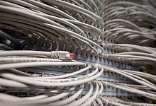 Netzwerkkabel - Marijan Murat