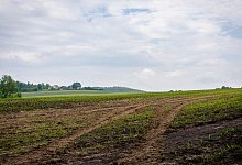 rba_0167-3 - Raphael Bartling