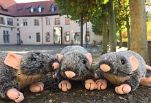 ratten-vorm-museum - Landesverband Lippe
