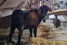 20220926_1355511 - Marianne Schwarzer