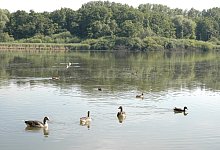 LIPP 16.3. Wanderung um den Norderteich - Archivfoto: Manfred Brinkmeier