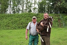 Ziegen im Doberg - Shannon-Lee Bendig