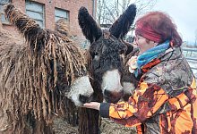 miw-esel-1 - Michaela Wei&szlig;e