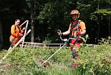 Forstwirte - Alexandra Schaller