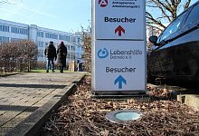 img_5677k - Jana Beckmann