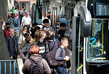 schulbus_pixel - Andreas Fr&uuml;cht