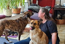 Rudelleben - Marianne Schwarzer