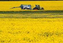 urn:newsml:dpa.com:20090101:211020-99-669785 - dpa