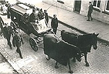 beerdigung-pferde-1943-01 - Repro: Horst Biere/Quelle: Hella Sander