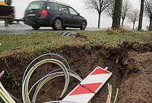 IMG_1961-160502041 - Sylvia Frevert