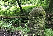 img_5961 - Sven Kienscherf