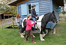 Therapie auf Pferderücken: Marilena Traue und Torina Rohlfing (links) begleiten Carolin Meinsen trotz ihrer Querschnittslähmung beim kleinen Ausritt mit der Tinker-Stute Aenna auf die Wiese. MT-Foto: Jürgen Langenkämper - Langenkämper