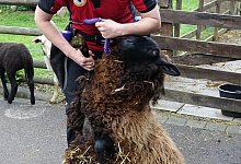 Karolin B&uuml;nting - Axel B&uuml;rger(LZ)